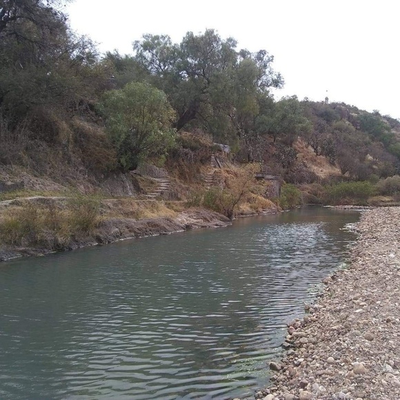 Meet your Posher, Ana - Picture 1 of 1